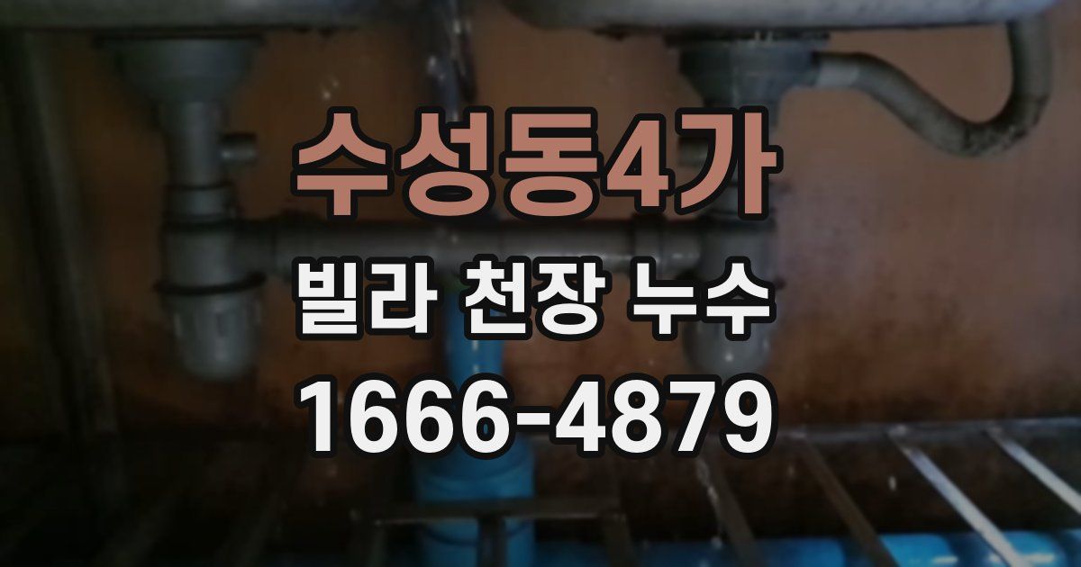 수성동4가 빌라 천장 누수