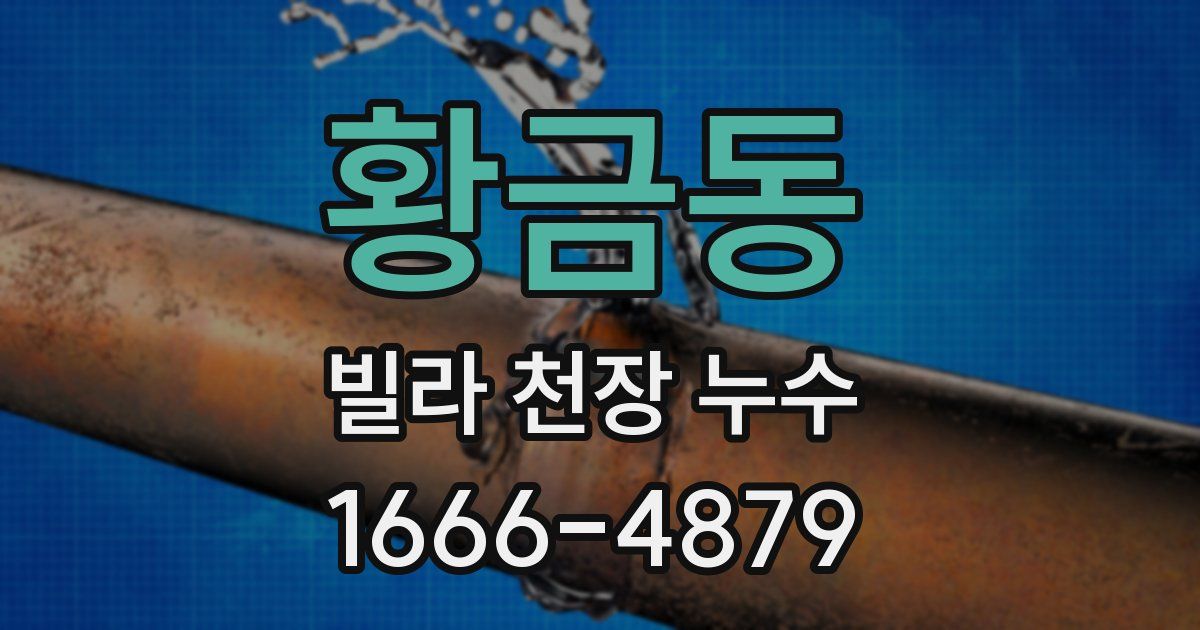 황금동 빌라 천장 누수