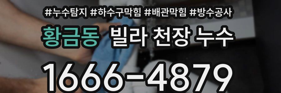 황금동 빌라 천장 누수