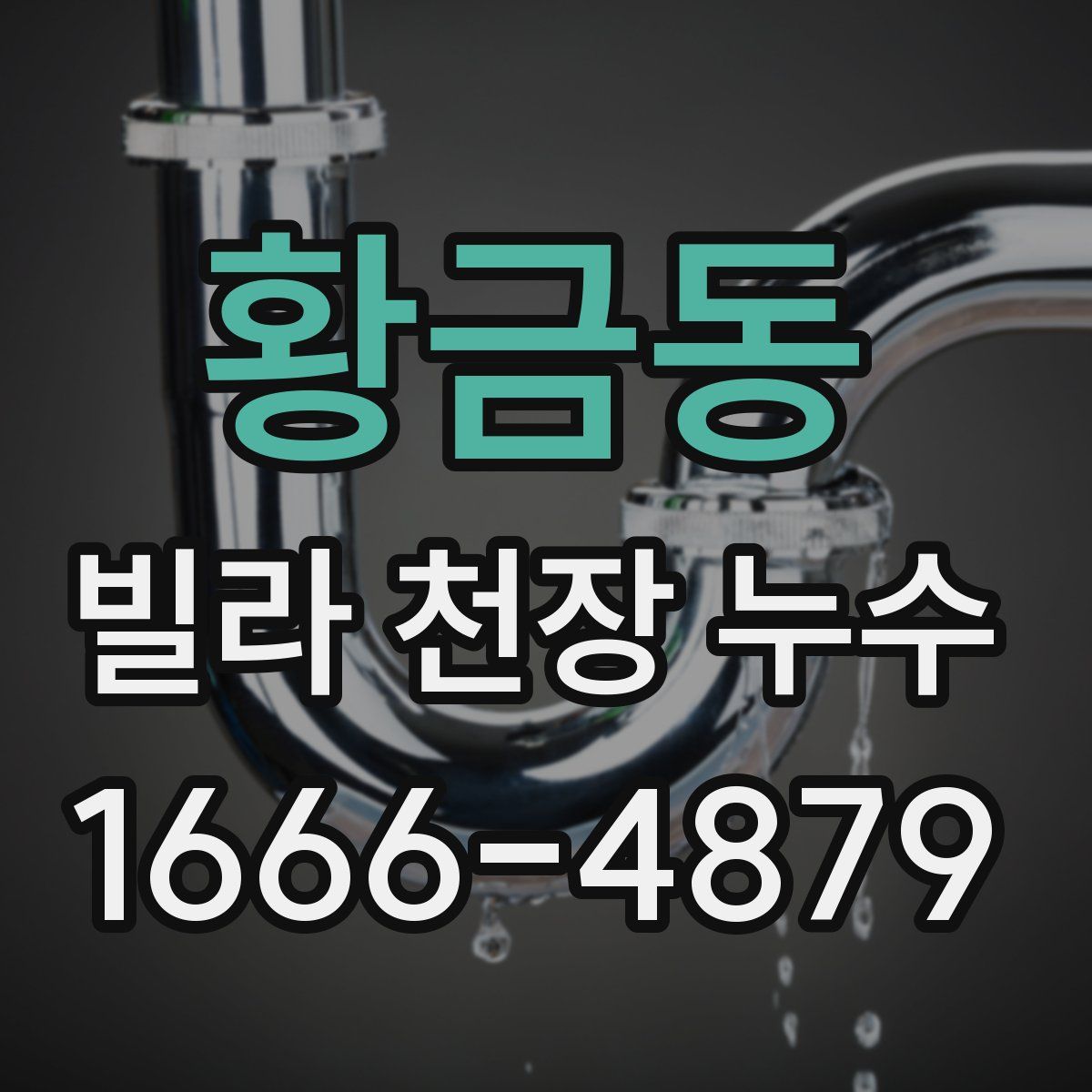 황금동 빌라 천장 누수