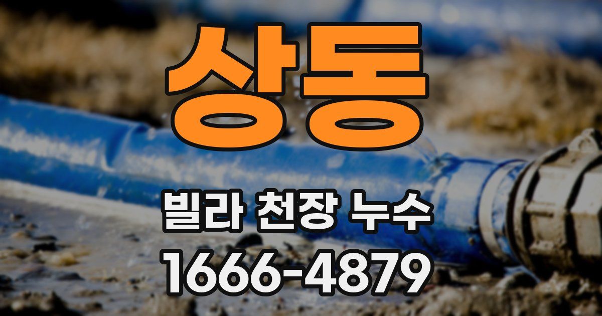 상동 빌라 천장 누수