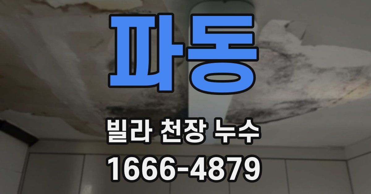 파동 빌라 천장 누수