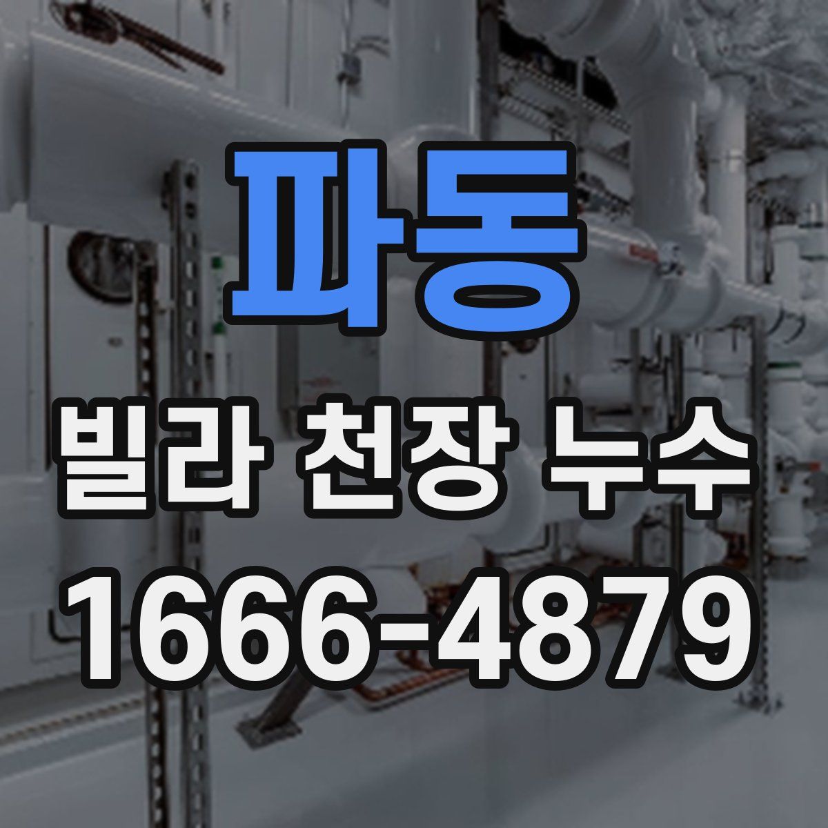 파동 빌라 천장 누수