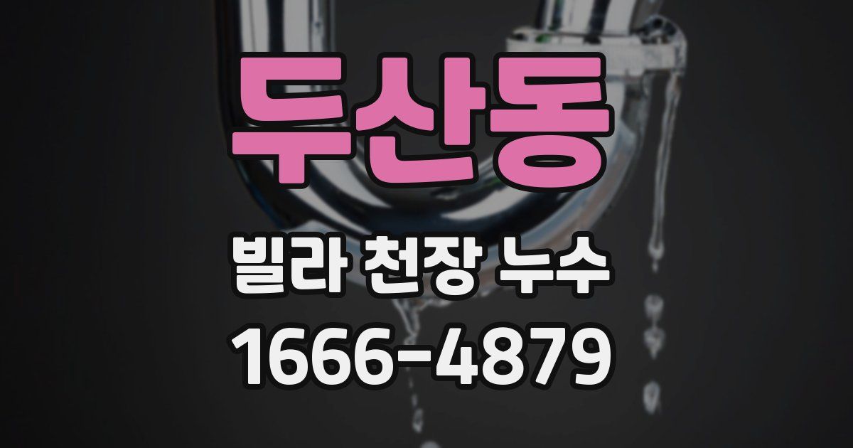 두산동 빌라 천장 누수