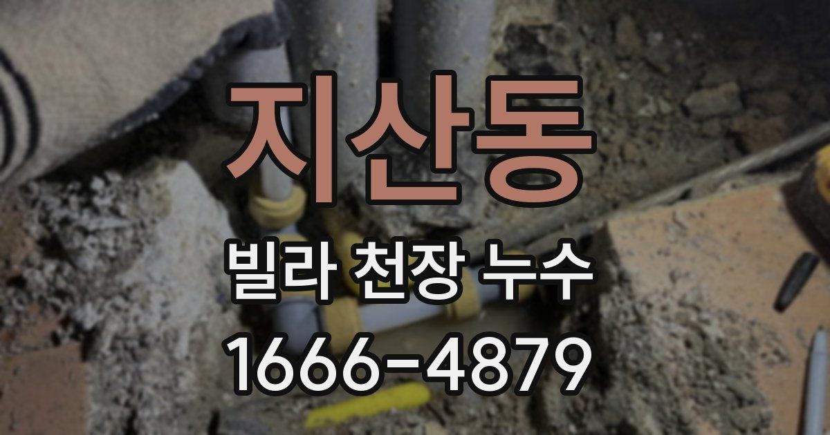 지산동 빌라 천장 누수