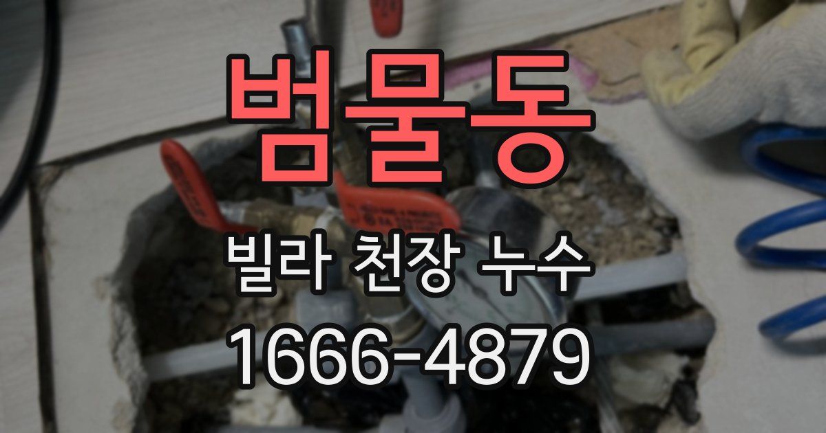 범물동 빌라 천장 누수