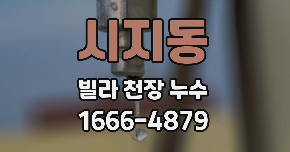 시지동 빌라 천장 누수