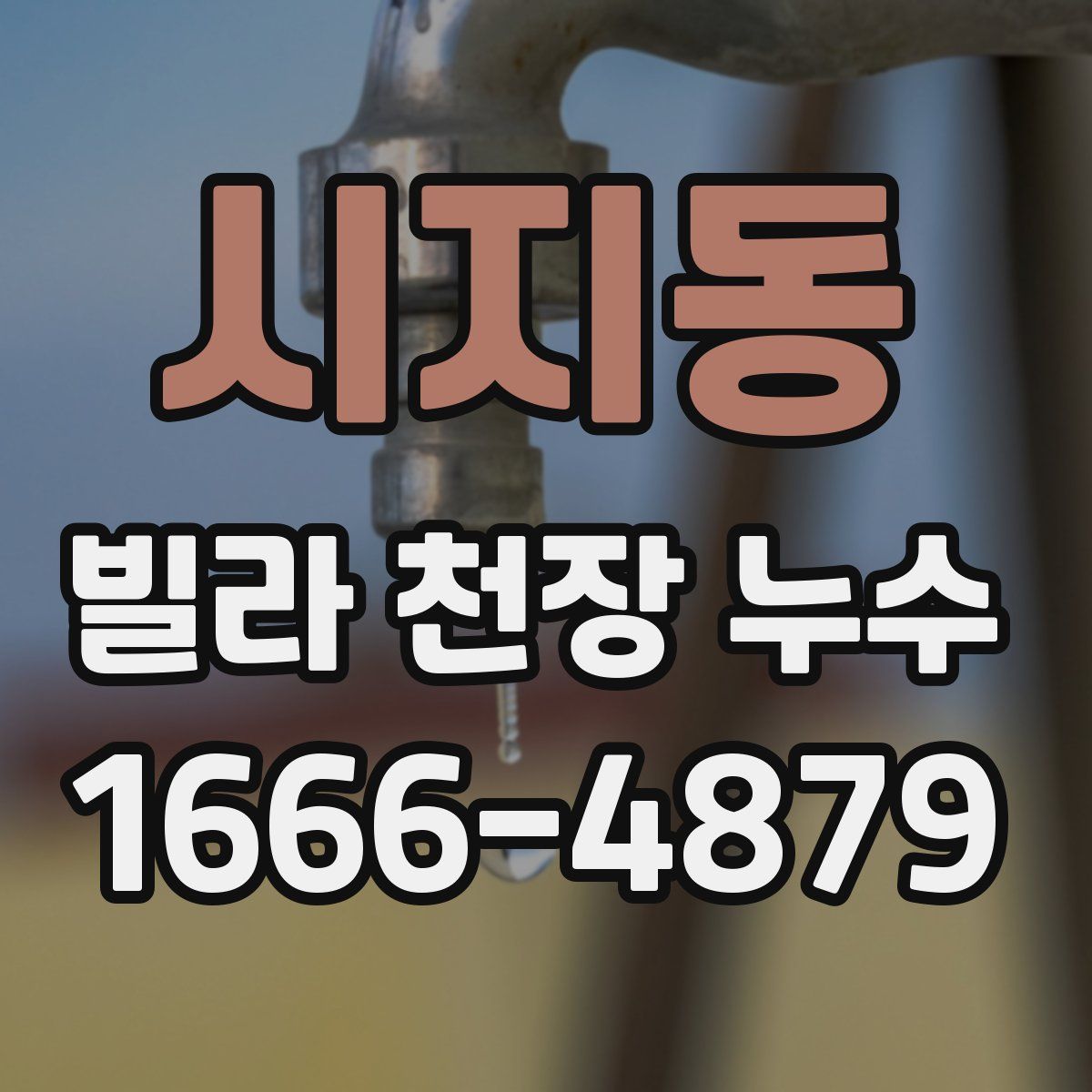 시지동 빌라 천장 누수