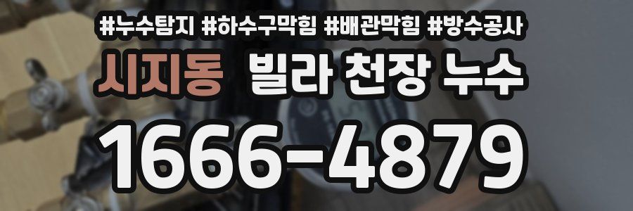 시지동 빌라 천장 누수