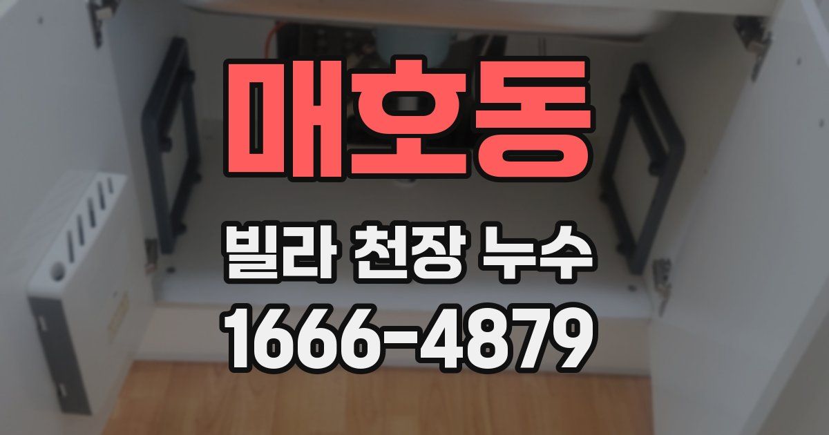 매호동 빌라 천장 누수