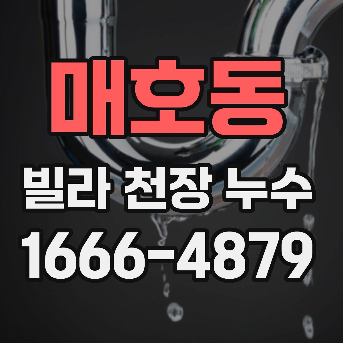 매호동 빌라 천장 누수