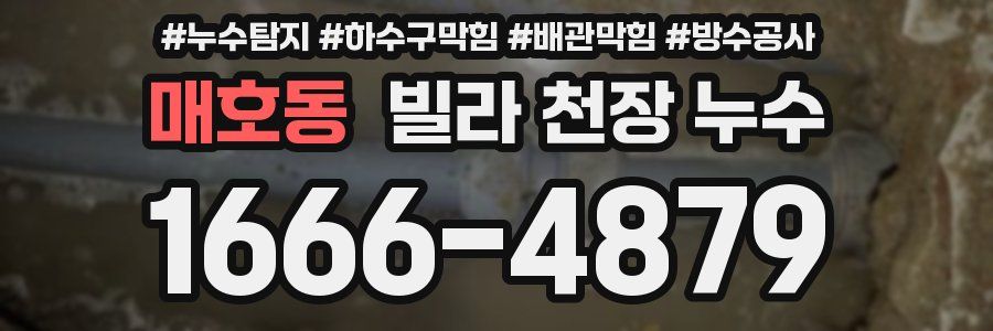 매호동 빌라 천장 누수