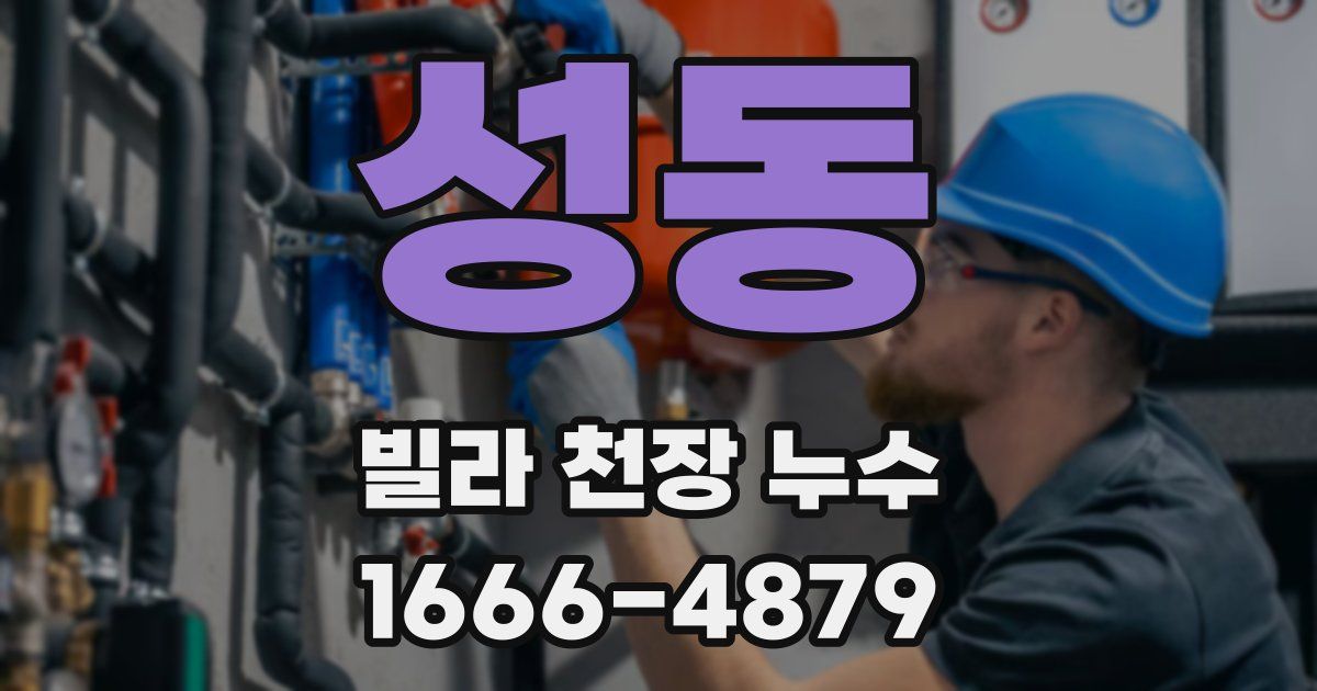 성동 빌라 천장 누수