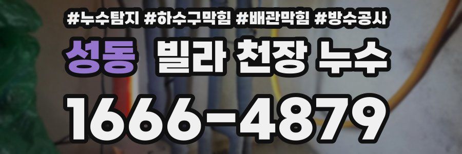 성동 빌라 천장 누수