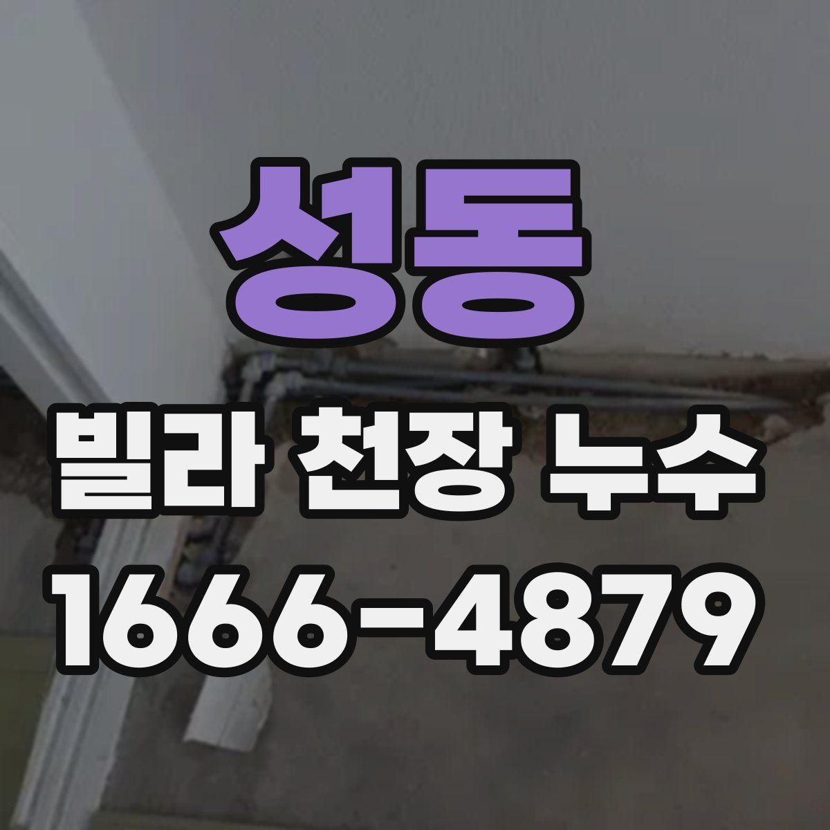 성동 빌라 천장 누수
