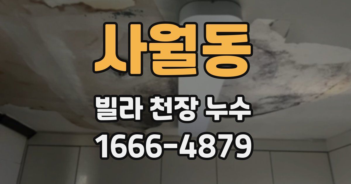 사월동 빌라 천장 누수