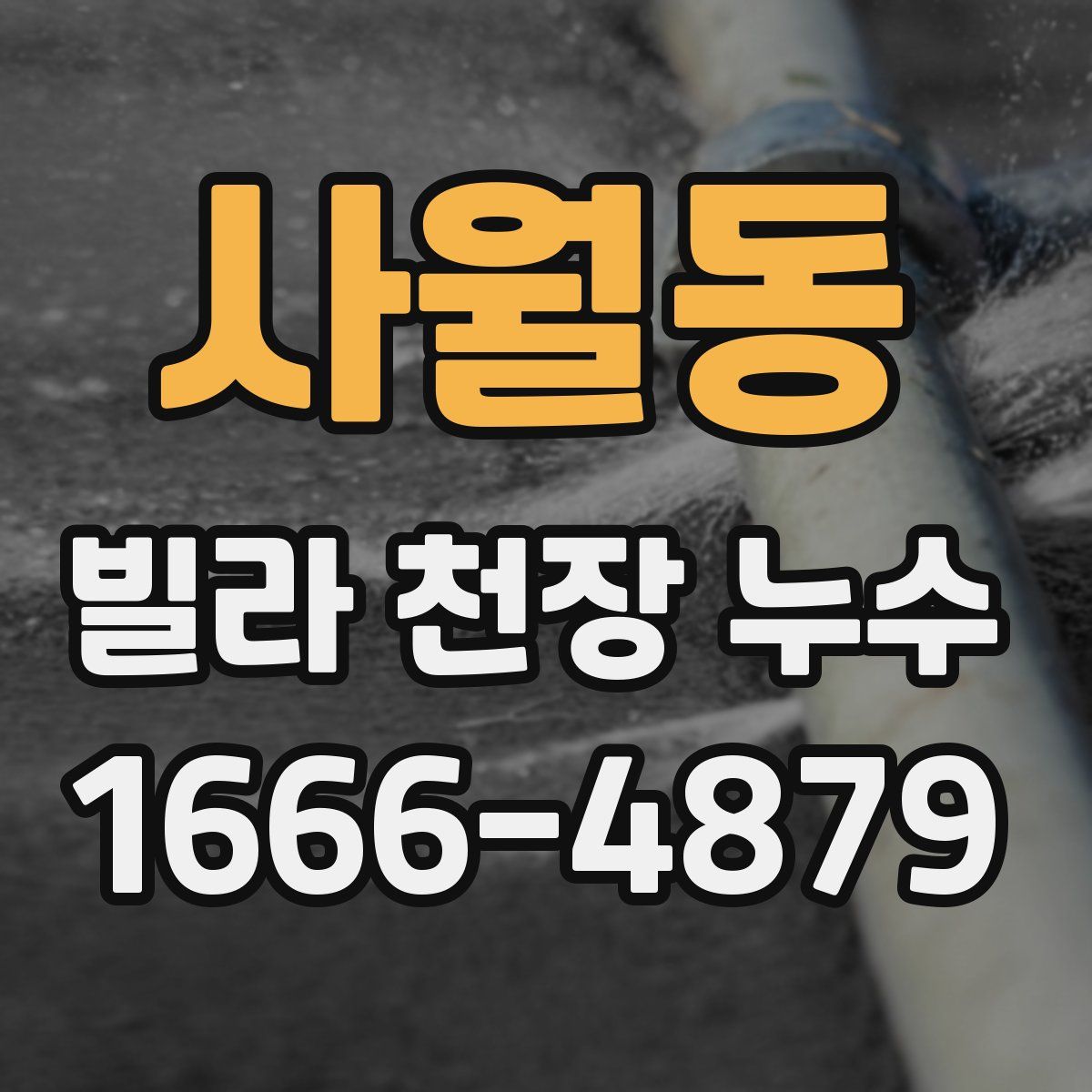 사월동 빌라 천장 누수