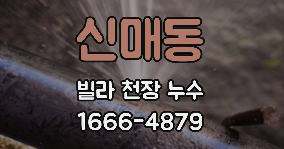 신매동 빌라 천장 누수