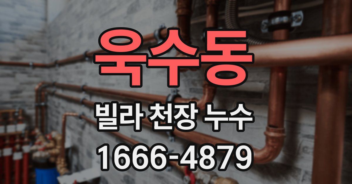 욱수동 빌라 천장 누수