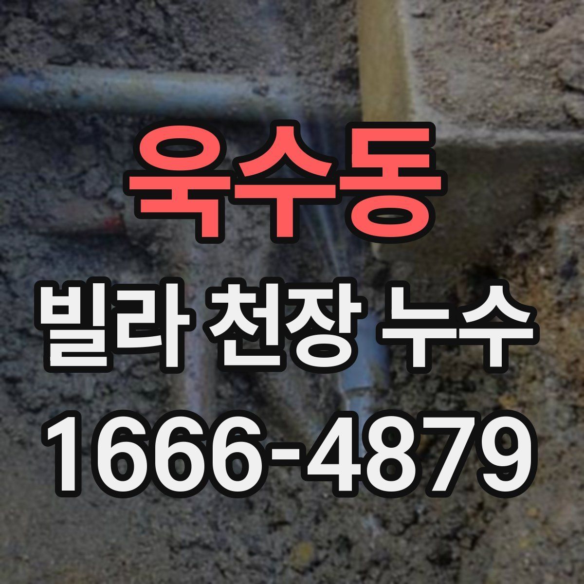 욱수동 빌라 천장 누수