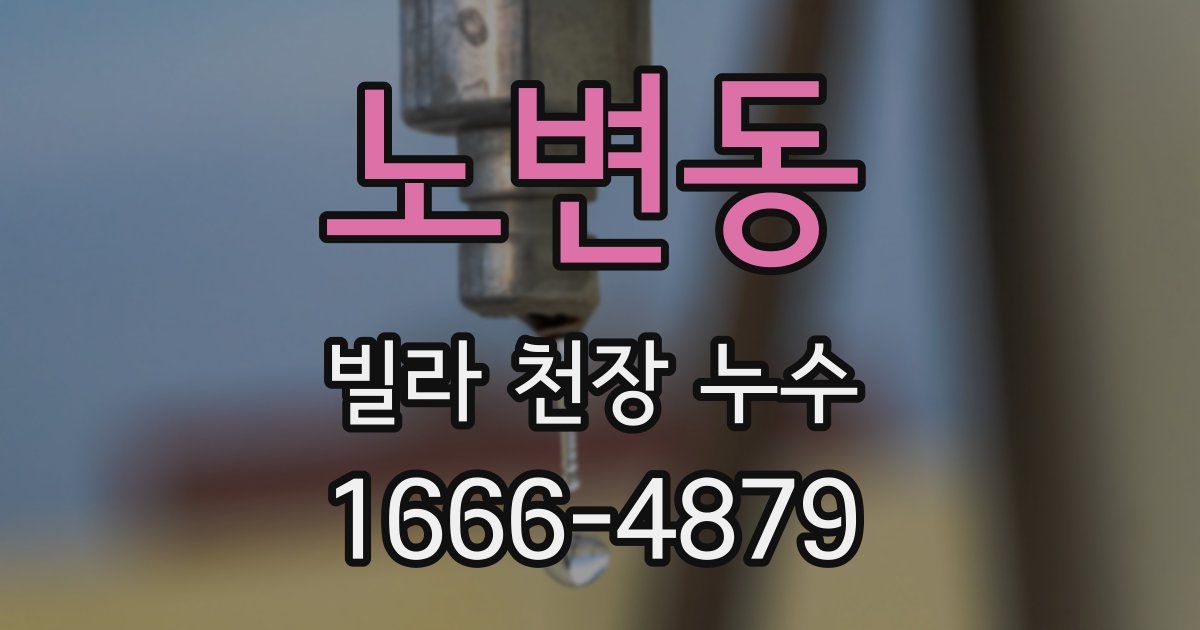 노변동 빌라 천장 누수