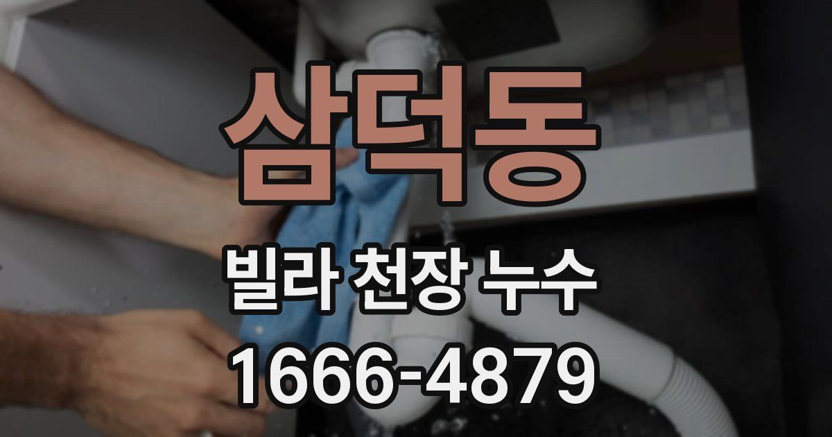 삼덕동 빌라 천장 누수