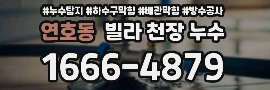 연호동 빌라 천장 누수