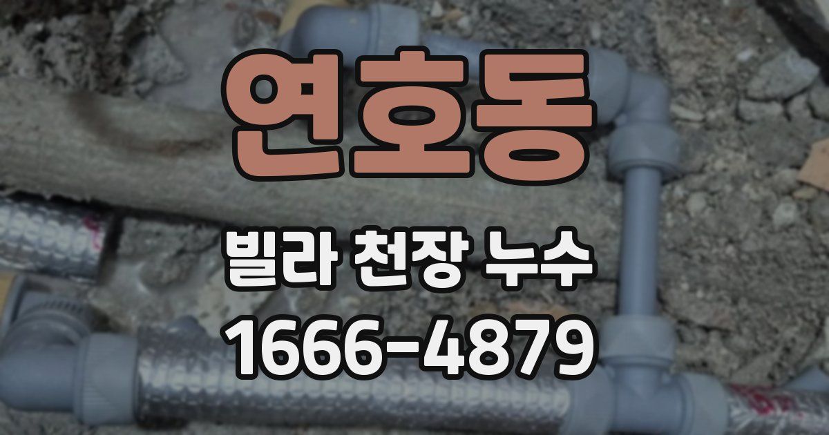 연호동 빌라 천장 누수