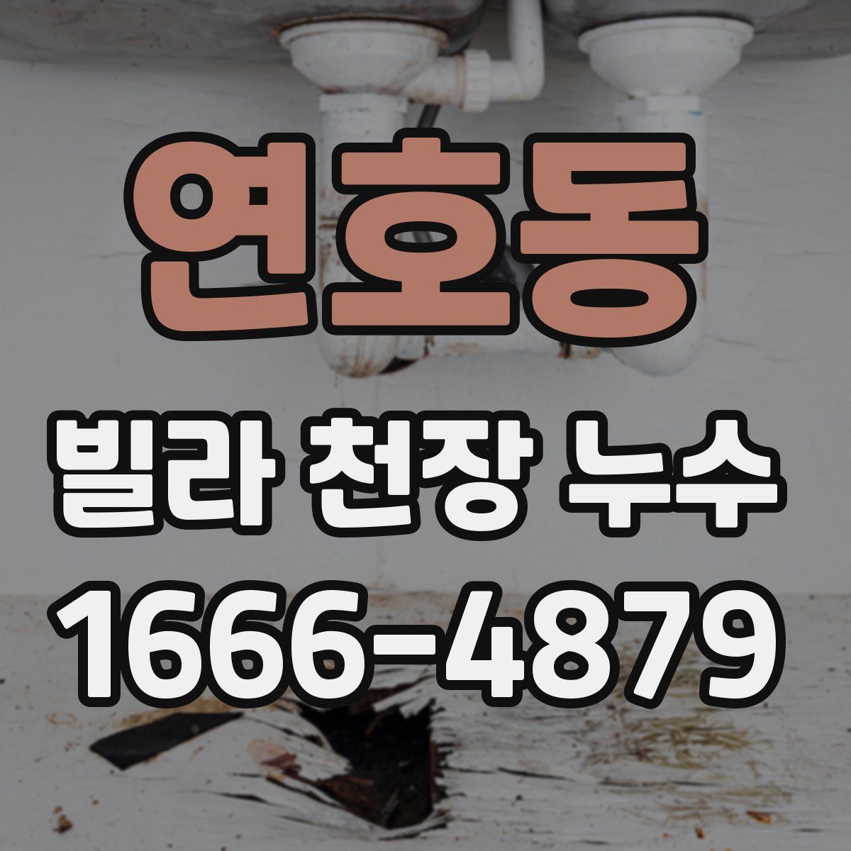 연호동 빌라 천장 누수