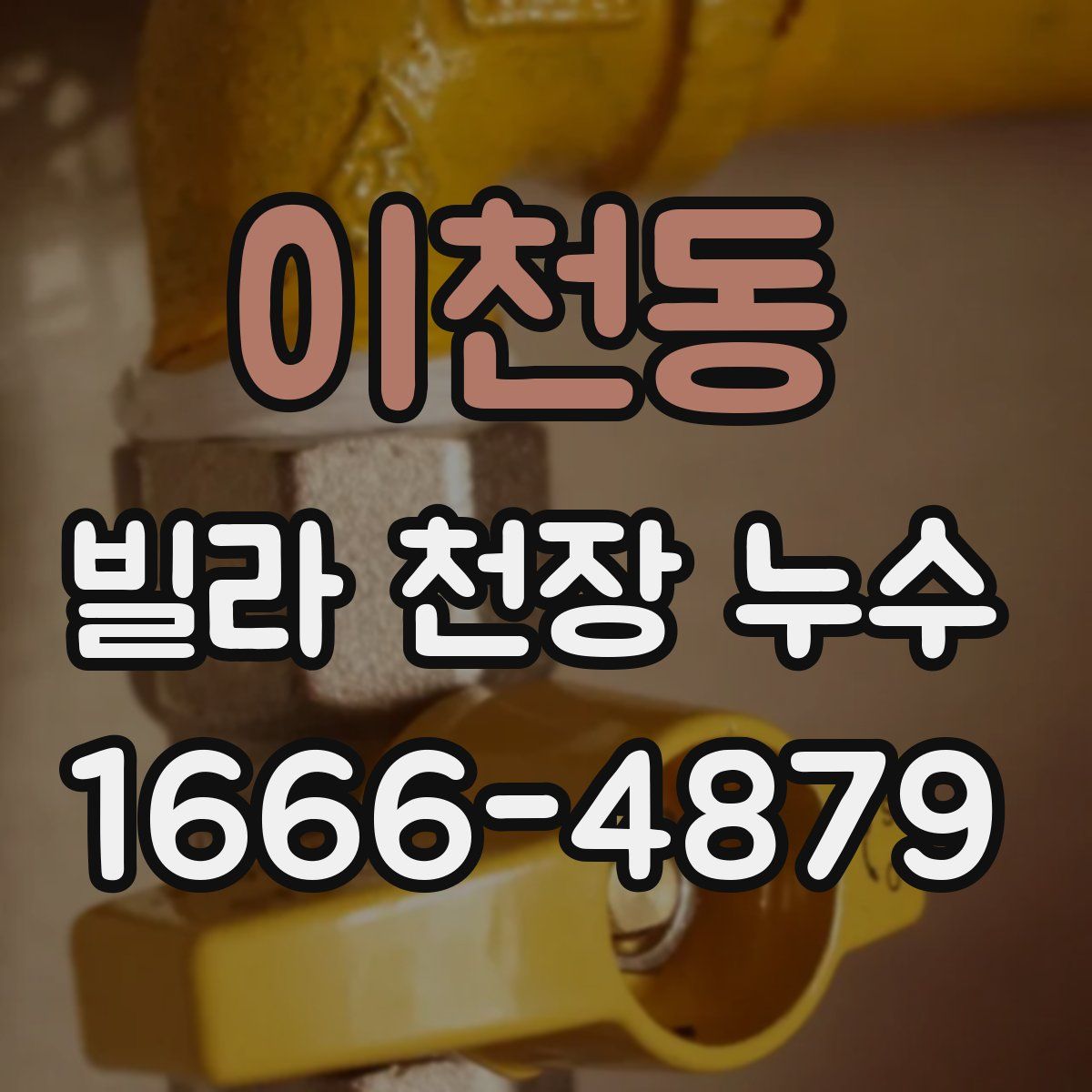 이천동 빌라 천장 누수