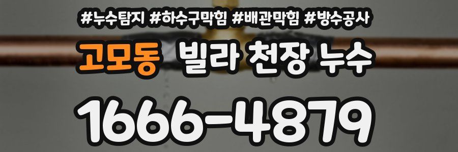 고모동 빌라 천장 누수