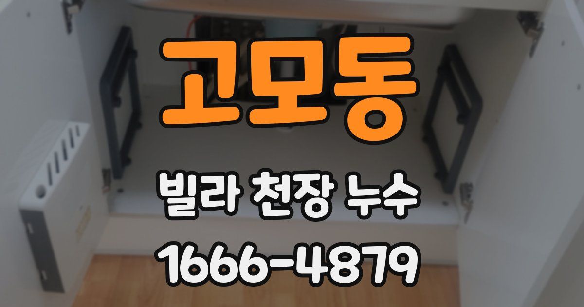 고모동 빌라 천장 누수