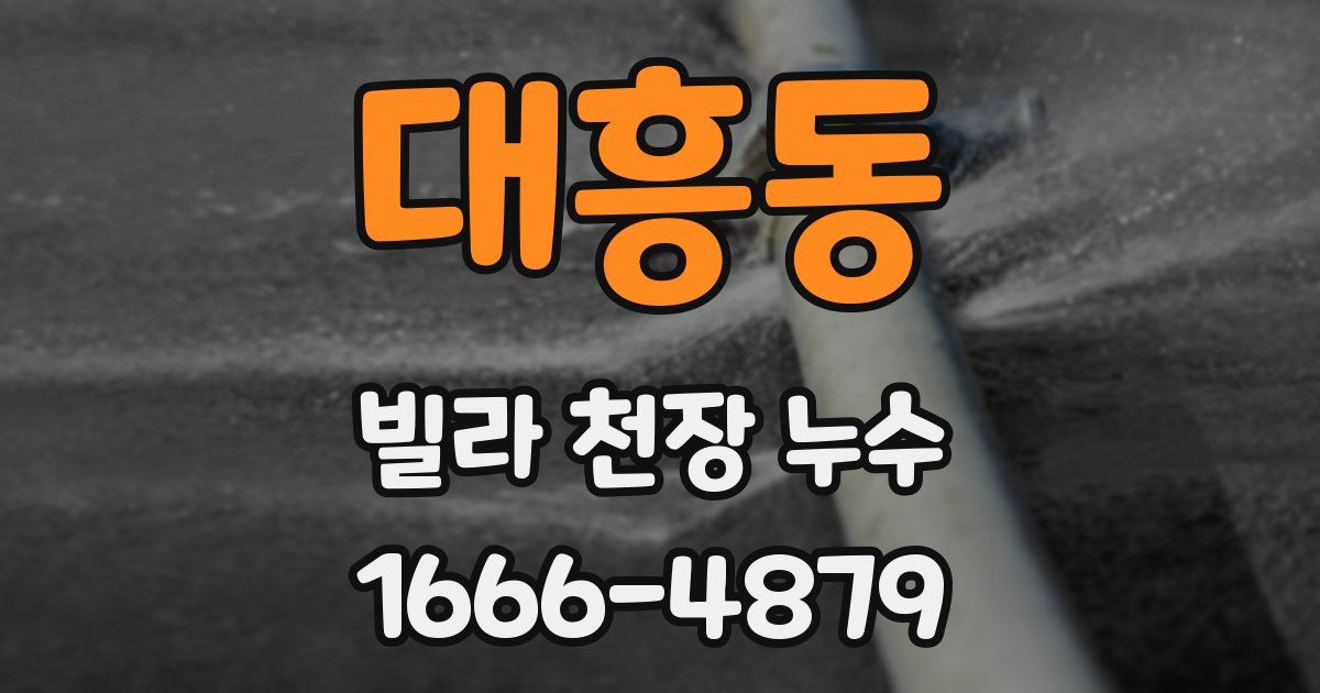 대흥동 빌라 천장 누수