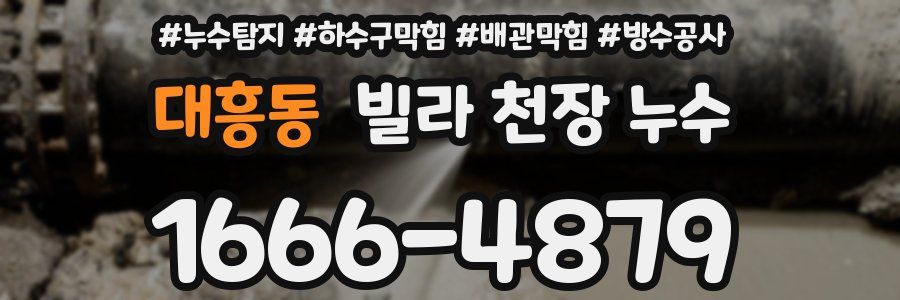 대흥동 빌라 천장 누수