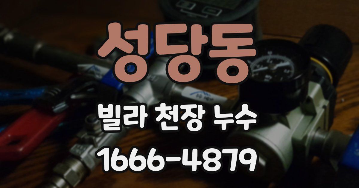 성당동 빌라 천장 누수