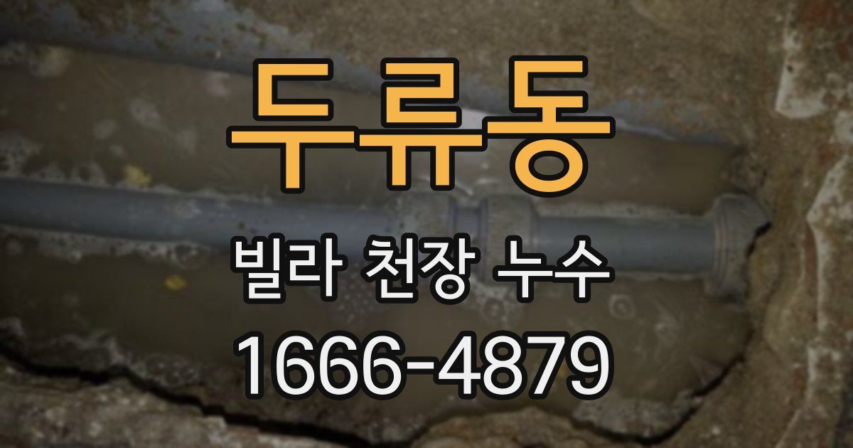 두류동 빌라 천장 누수