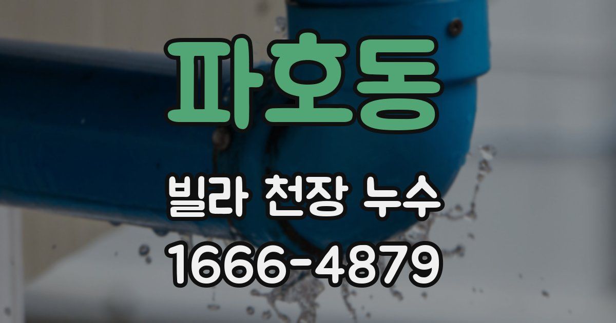 파호동 빌라 천장 누수