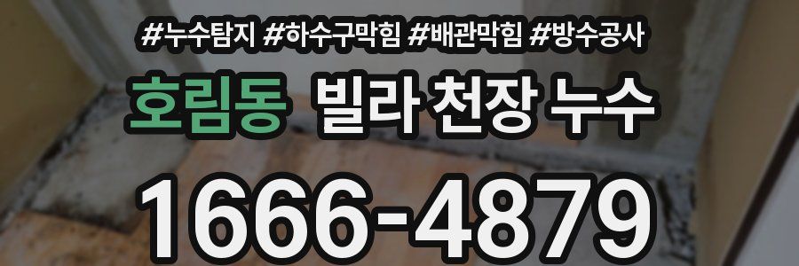 호림동 빌라 천장 누수