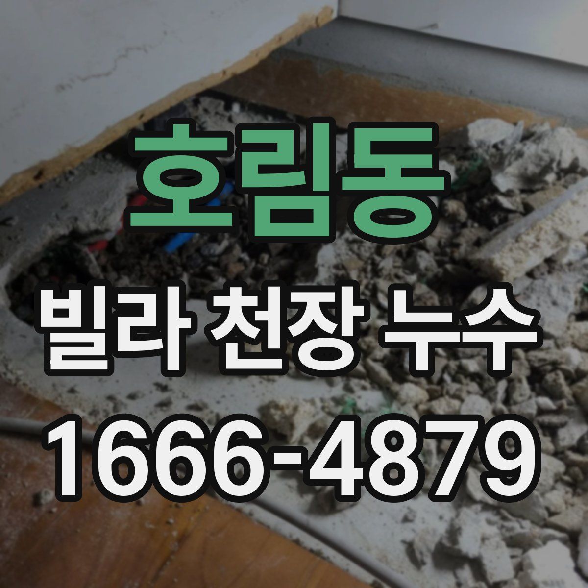 호림동 빌라 천장 누수