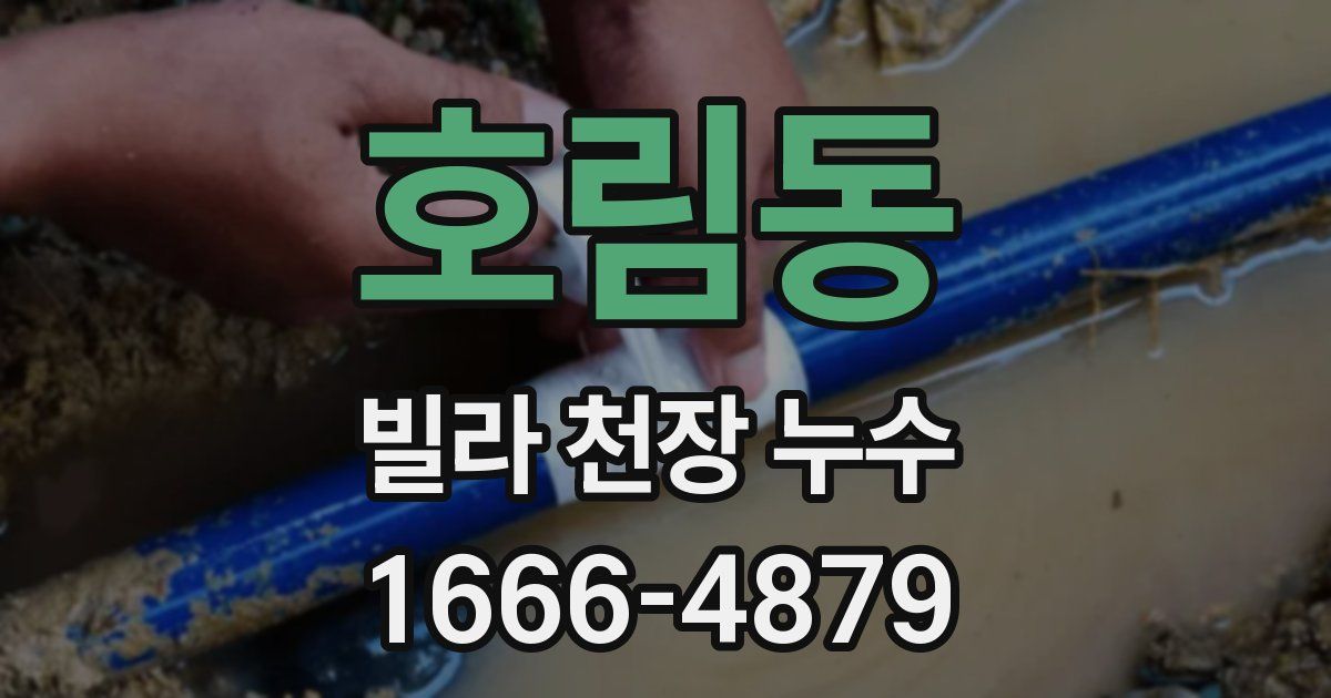 호림동 빌라 천장 누수