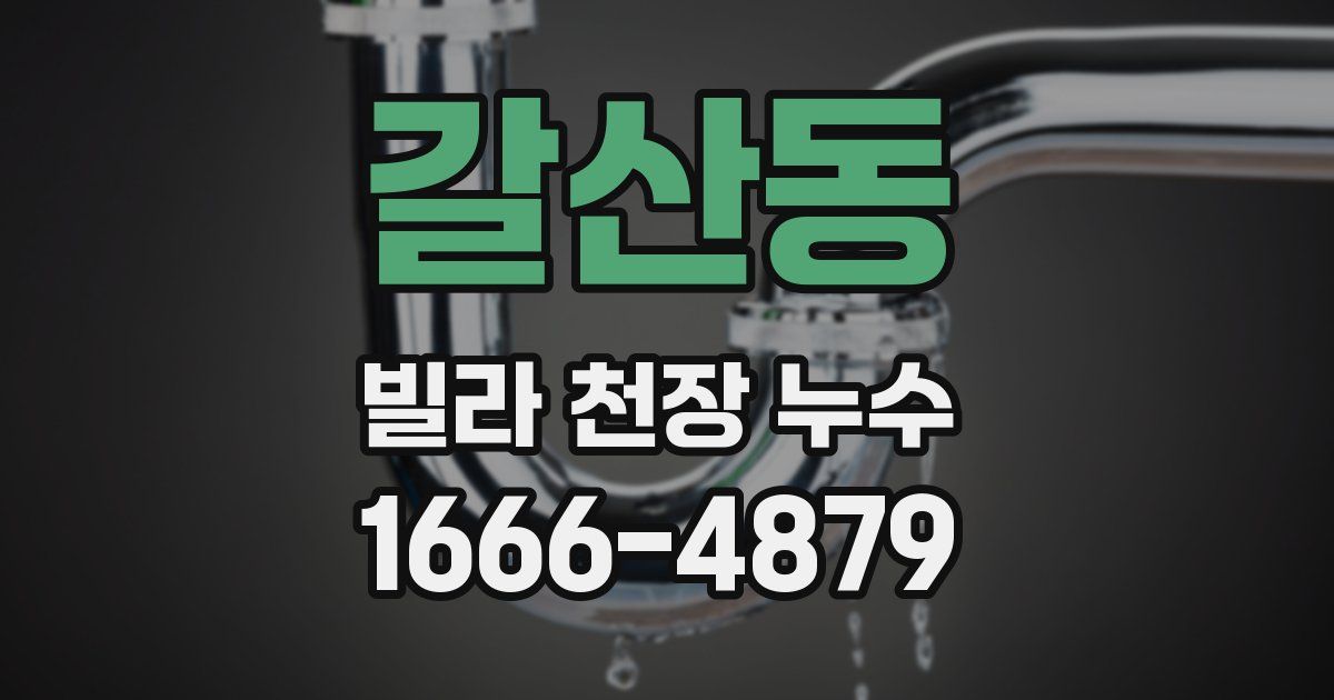 갈산동 빌라 천장 누수