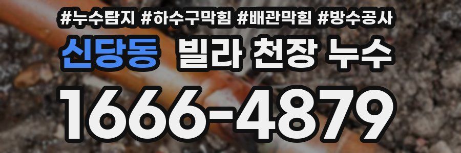신당동 빌라 천장 누수