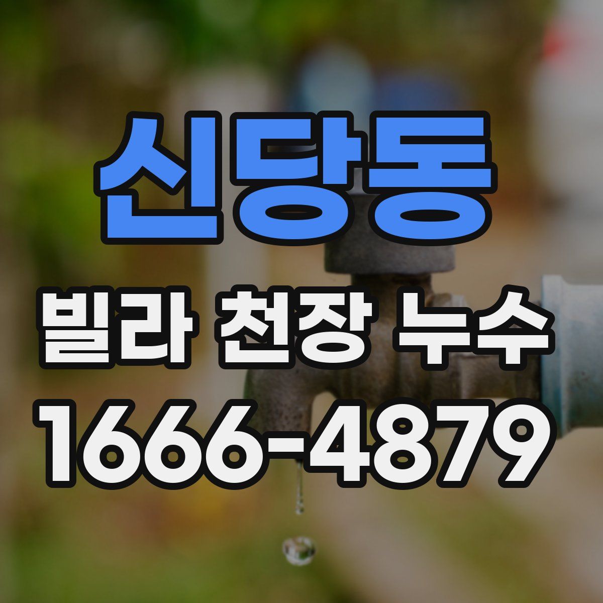 신당동 빌라 천장 누수