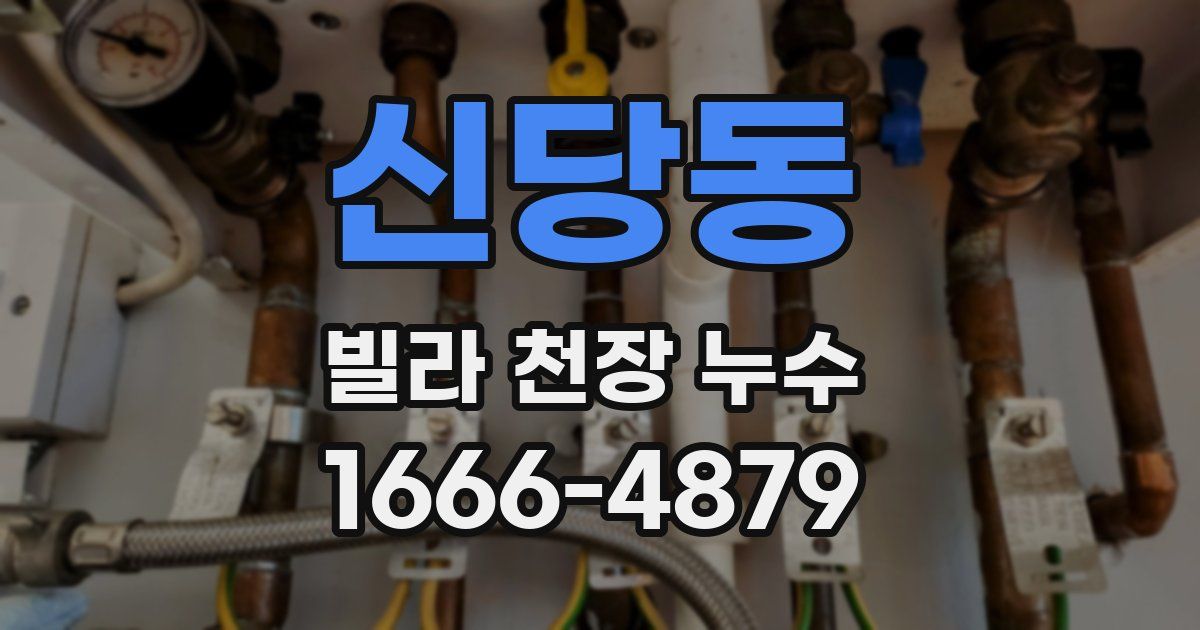 신당동 빌라 천장 누수