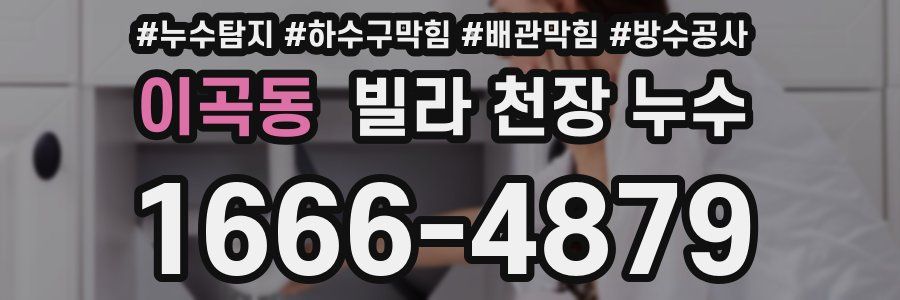 이곡동 빌라 천장 누수
