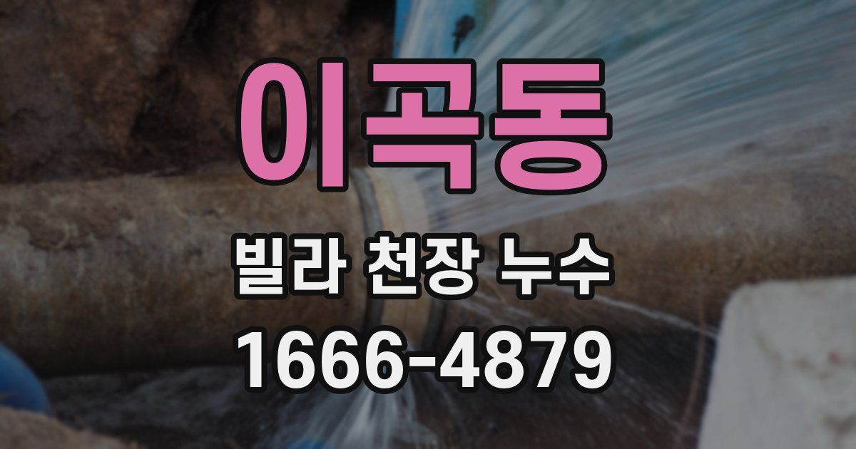 이곡동 빌라 천장 누수