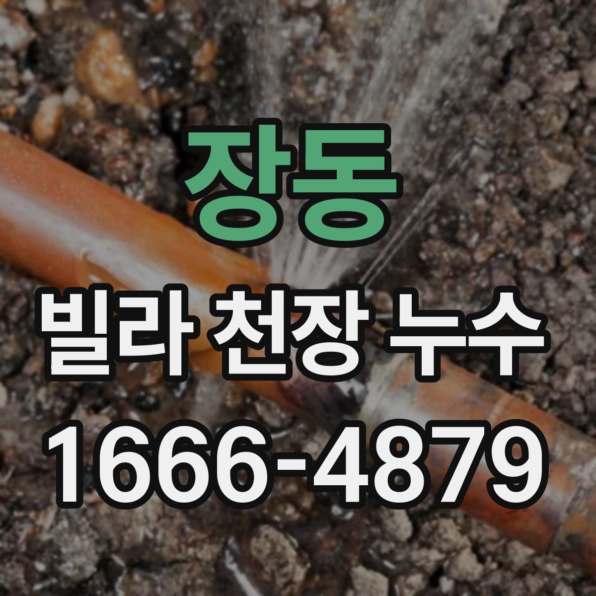 장동 빌라 천장 누수