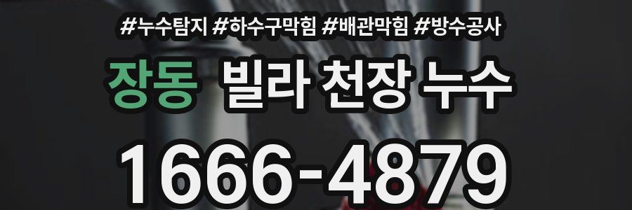 장동 빌라 천장 누수