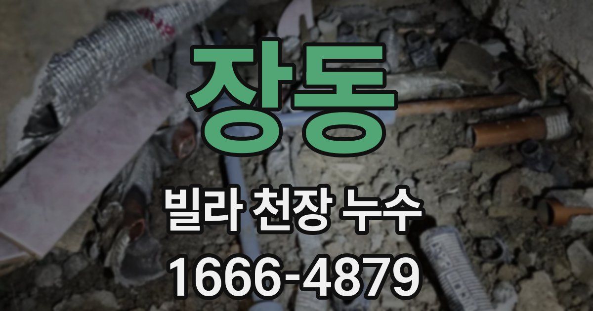 장동 빌라 천장 누수