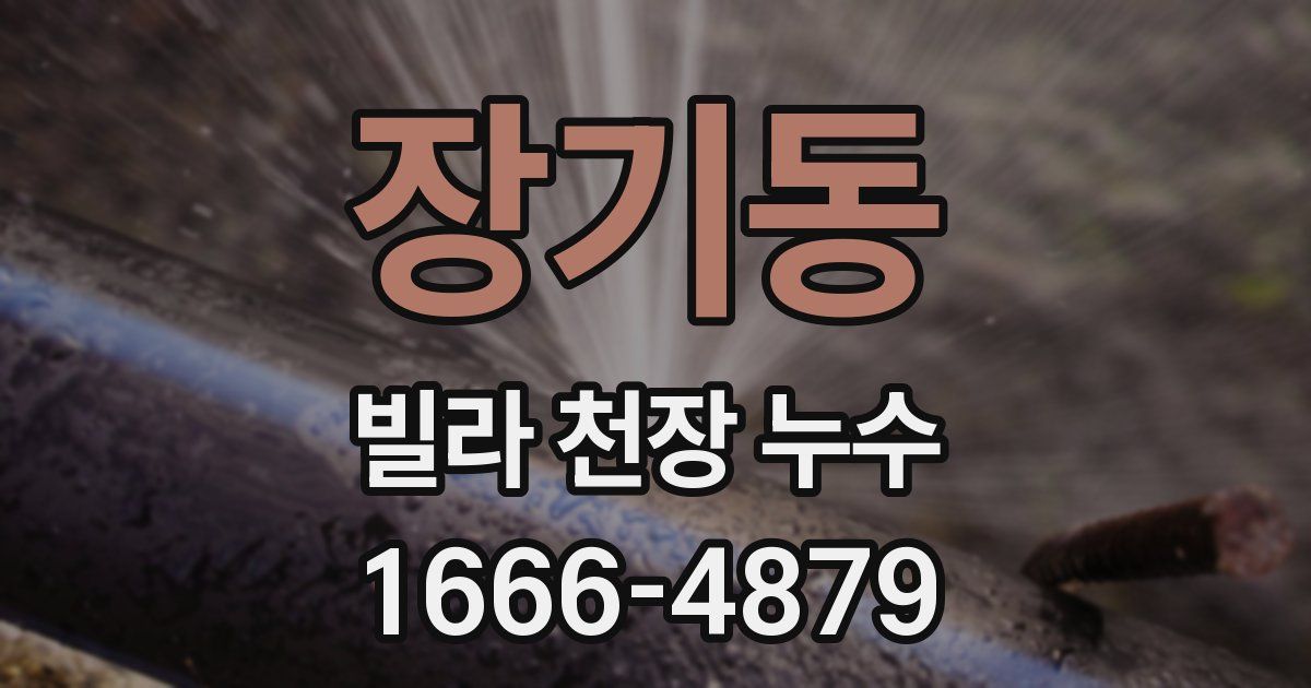 장기동 빌라 천장 누수